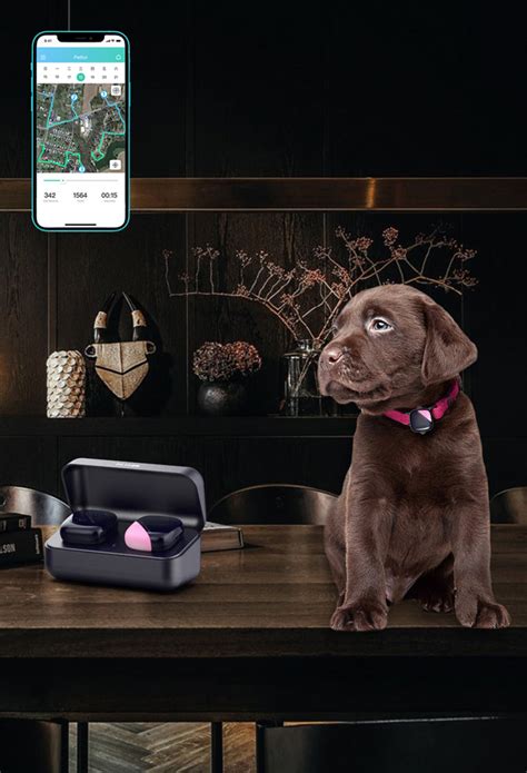 petfon smart pet gps tracker.